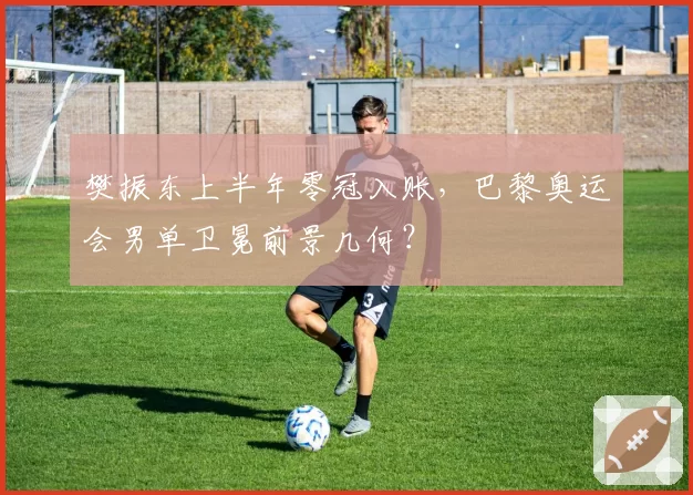 樊振东上半年零冠入账，巴黎奥运会男单卫冕前景几何？