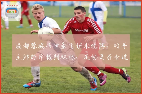 成都蓉城韦世豪飞铲未吃牌，对手主帅怒斥裁判双标，足协是否会追罚？