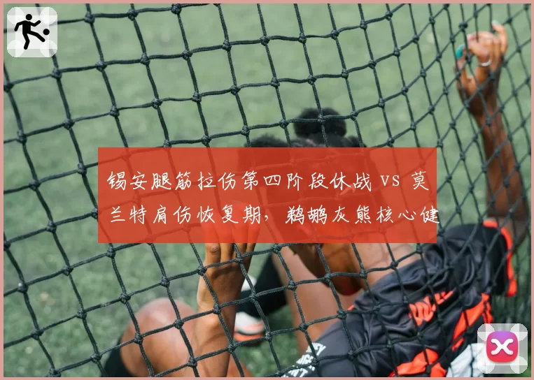 锡安腿筋拉伤第四阶段休战 vs 莫兰特肩伤恢复期,鹈鹕灰熊核心健康保障条款执行差异
