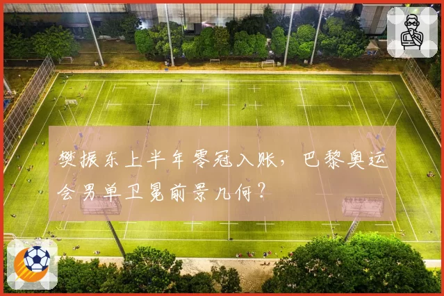 樊振东上半年零冠入账，巴黎奥运会男单卫冕前景几何？