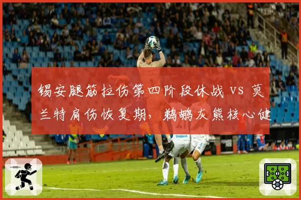 锡安腿筋拉伤第四阶段休战 vs 莫兰特肩伤恢复期,鹈鹕灰熊核心健康保障条款执行差异